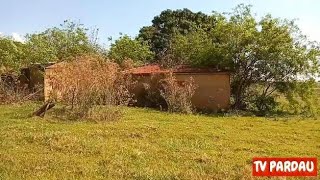 O Passa Tempo da Mãe Era Furtar Flores do Cemitério, Mas Uma Noite Foi Cobrada em Seu Quarto