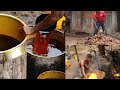 Palm oil production process #1