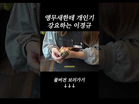 개노답 출연자 앵무새