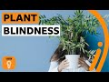Understanding Our Connection with Nature