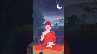 🙏🙏🙏🙏 gautambuddha #buddha #buddhism #india #buddhist #lordbuddha #jaybhim #buddhastatue