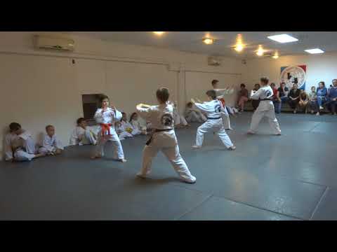 Klub realnog aikidoa i jujutsu Novi Sad Polaganje za zvanja jun 2018 I i II grupa dece 8/10