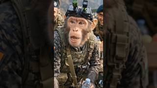 "बंदर कमांडो की खतरनाक ट्रेनिंग 😱💪 | Team Power 🔥"#monkey #trending #viral #sports