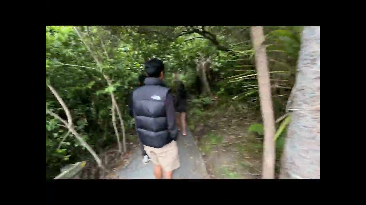 A day in Shakespear and with Kinley and friends!