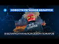Клещи атакуют Беларусь / Крупный пожар в Кричеве // Новости регионов Беларуси