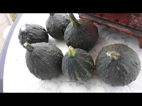 Обзор дач и работа на дачи кипит😰