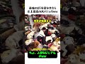 最後の1匹で大惨事ww 先生の痛恨ミスで全員即起床🐶💥 お昼寝タイム崩壊！犬の幼稚園での絶望的かつ笑える悲劇😂 #犬のいる暮らし #ハプニング