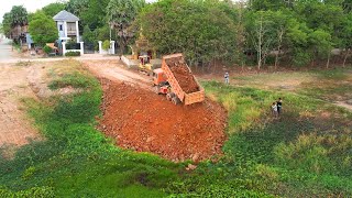 Wow So Cool Project!! Dozer D37E &​ 15T Truck transporting siol into lake Become to plant seedlings