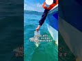 母を見送る 大分海洋散骨