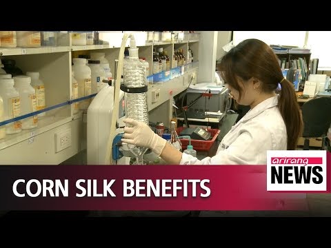 Video: Corn Silk - Application, Contraindications, Reviews