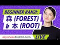 Beginner Kanji: How to Use 森(forest) & 本(root) in Japanese