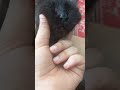 #cute #funny #ytshorts #cat #viral #kitten #petshub #pets #baby #kitty #trending