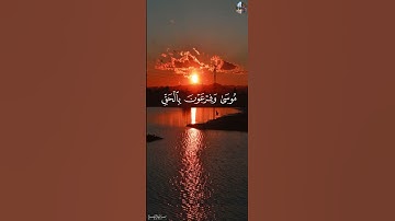 [سورة القصص,١-٤] - هيثم الدخين