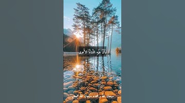 الشيخ عبد الفتاح الطاروطي --نوادر روعه اجمل ما قراء #تلاوات