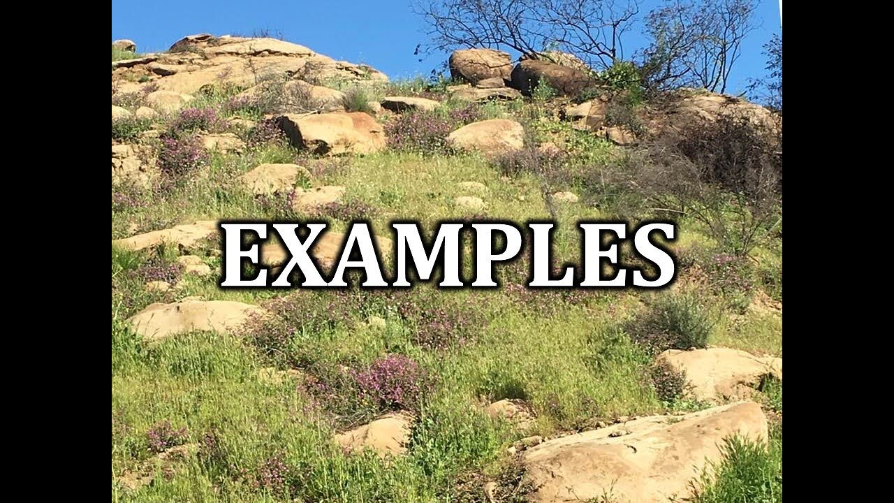 Examples - YouTube