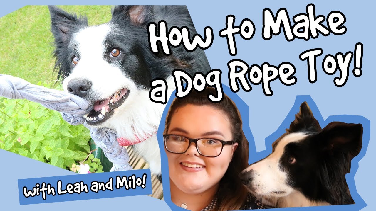 Easy DIY Rope Dog Toy! How to Make a Simple Rope Toy for Your Dog On a