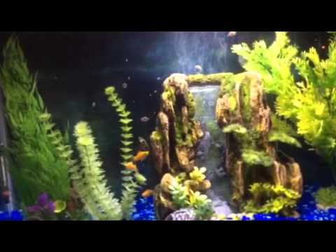 marineland led kit 29