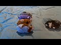 End of video
