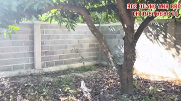 BÁN ĐẤT NGHỈ DƯỠNG LONG ĐẤT BÀ RỊA VŨNG TÀU