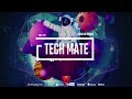 Tech mate  bass in space original mix 1db records 