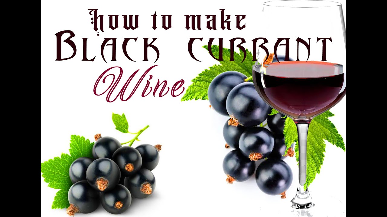 how-to-make-black-currant-wine-youtube