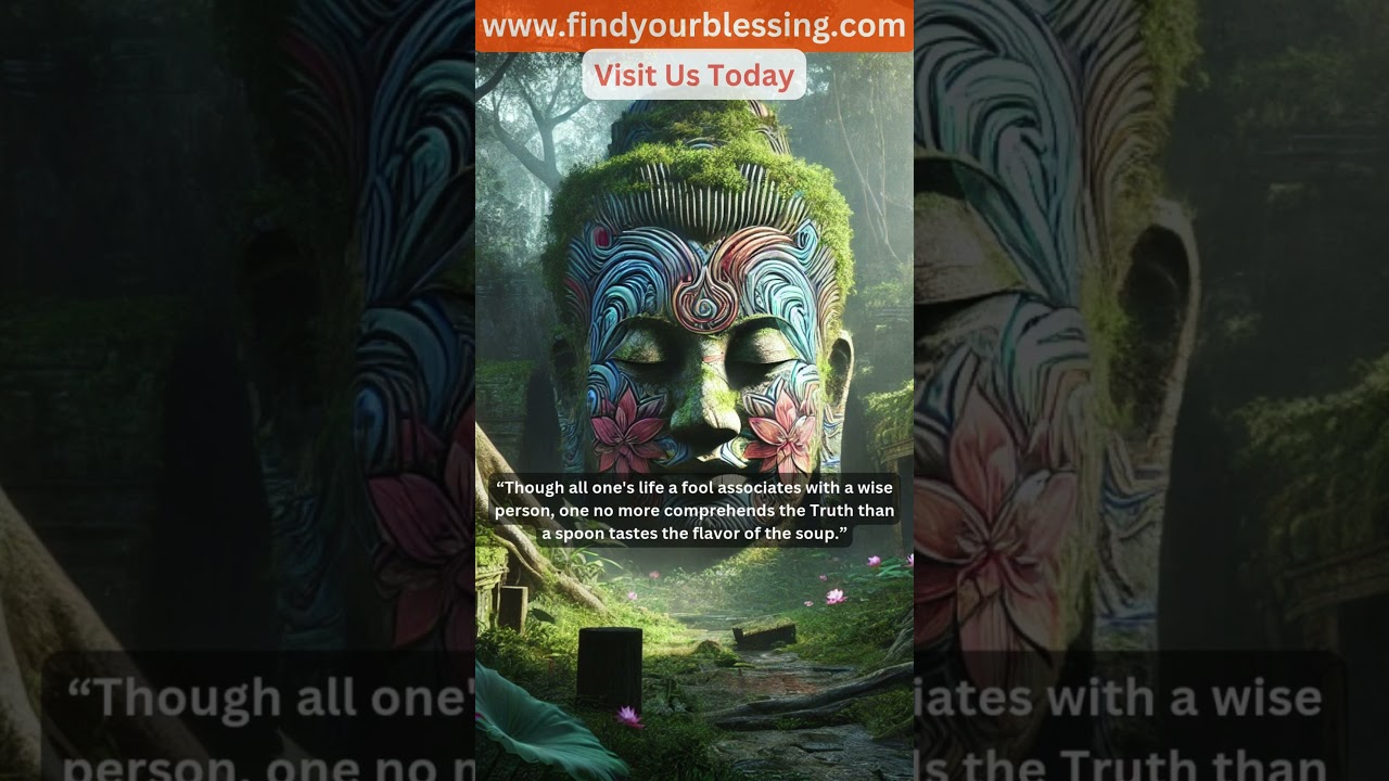 Daily Buddhist Quote #64 | Find Your Blessing 