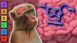 Which Neurotransmitter is the Most Stimulating? (Neurotransmitter Lore)
