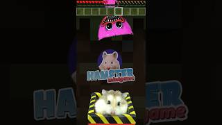 Hamster in Minecraft Minigame #hamster #minecraft #hamstersshow