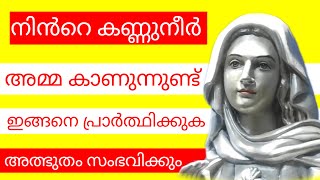 നിൻറെ കണ്ണുനീർ അമ്മ കാണുന്നുണ്ട് l marian miracle prayer l powerful prayer