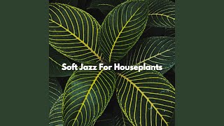 Lovely Ambience for Playing Flashbacks