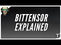 What is Bittensor in a nutshell? - Bittensor Explained