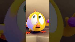 So Many Colors! #Cuteanimals #Shorts #Chicky | Cartoon For Kids