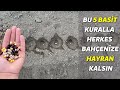 Fasulyenin ok dkmesi  iin 5 ok bast ama neml kural 100