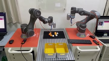 Lunghwa Robotics-Two TM COBOTS SIMULTANEOUSLY WORK FOR COLOR RECOGNITION BIN PICKING