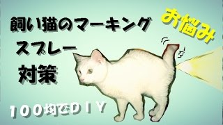 １００均の材料で作った　室内飼い猫の【マーキング】対策 cat spraying urine