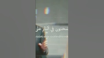 سيهزم الجمع ويولون الدبر.. #قرآن #ريحانة_قرآن #محمد_اللحيدان #تلاوات_خاشعة #ماهر_المعيقلي #قرآن_كريم