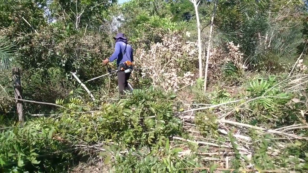 Disco de roçadeira com dente de motoserra 2