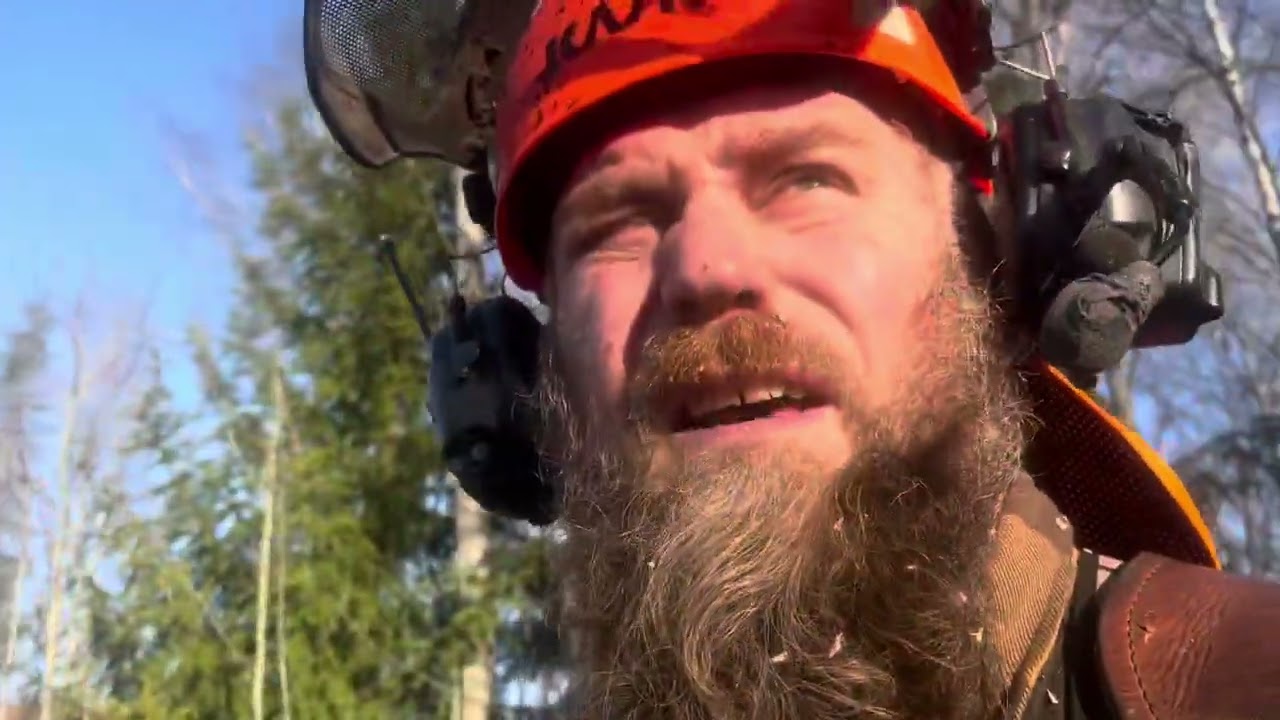 Trädfällning i fårhagen, misslyckad fastfällning, boxning och kärlek. Det ni!