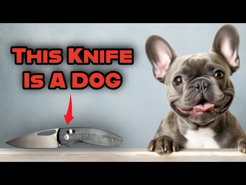 Is The TRM Bulldog Worth The Money?  