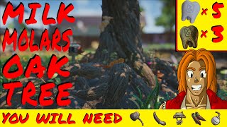 Find ALL MILK MOLARS in Grounded Part 1 Oak Tree Region