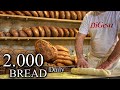 ART OF BREAD MAKIN⎮2 000 Pieces Of Bread Daily