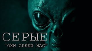 этот РАССКАЗ заставит ТЕБЯ поверить в НЛО  СЕРЫЕ  ужасы фантастика