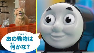 トーマスとえいごをまなぼう！ どうぶつクイズ②　プラレールトーマス【タカラトミーキッズ】 親子で楽しくあんしん | ファミリー | おはなし | 公式 | タカラトミー公式