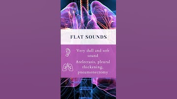 Learn Lung Percussion Sounds with Me