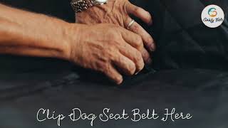 Car Seat Cover by Petclub India 2 views 4 years ago 1 minute, 34 seconds