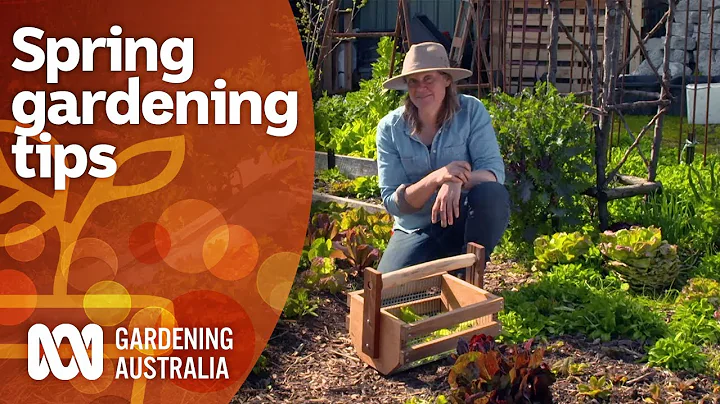 How to get the most success from your spring gardening | Gardening 101 | Gardening Australia - DayDayNews