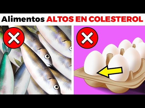 13 alimentos que peligrosamente AUMENTAN TU COLESTEROL