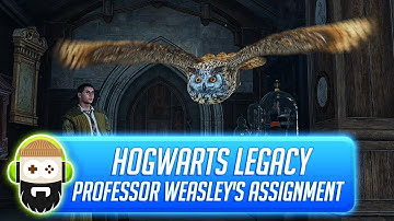 Hogwarts Legacy: Professor Weasley