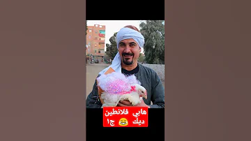 صعيدي بيتريق على الفلانتين بطريقة مضحكة جدا 
