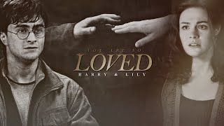 Harry & Lily | You Are So Loved